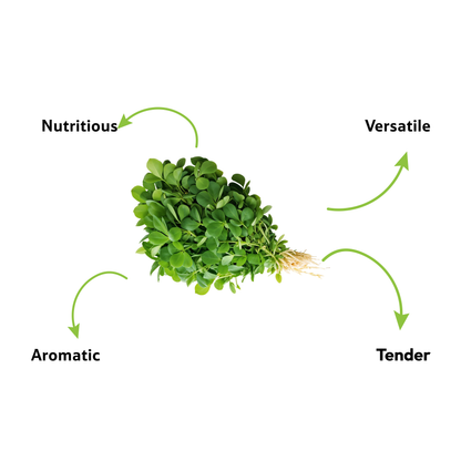 Methi Leaves, 1 Bunch