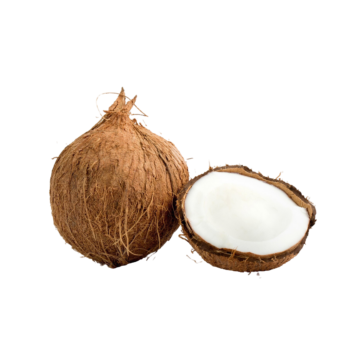 Coconut, 1 Pc