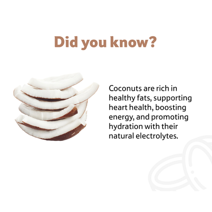 Coconut, 1 Pc