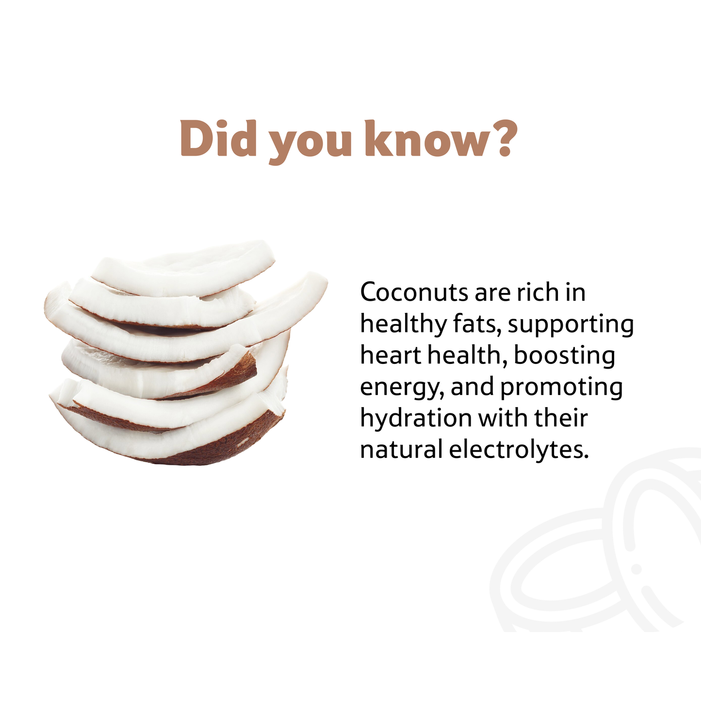 Coconut, 1 Pc