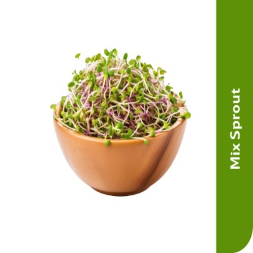 Starfresh Mix Sprout ~ 180 gm