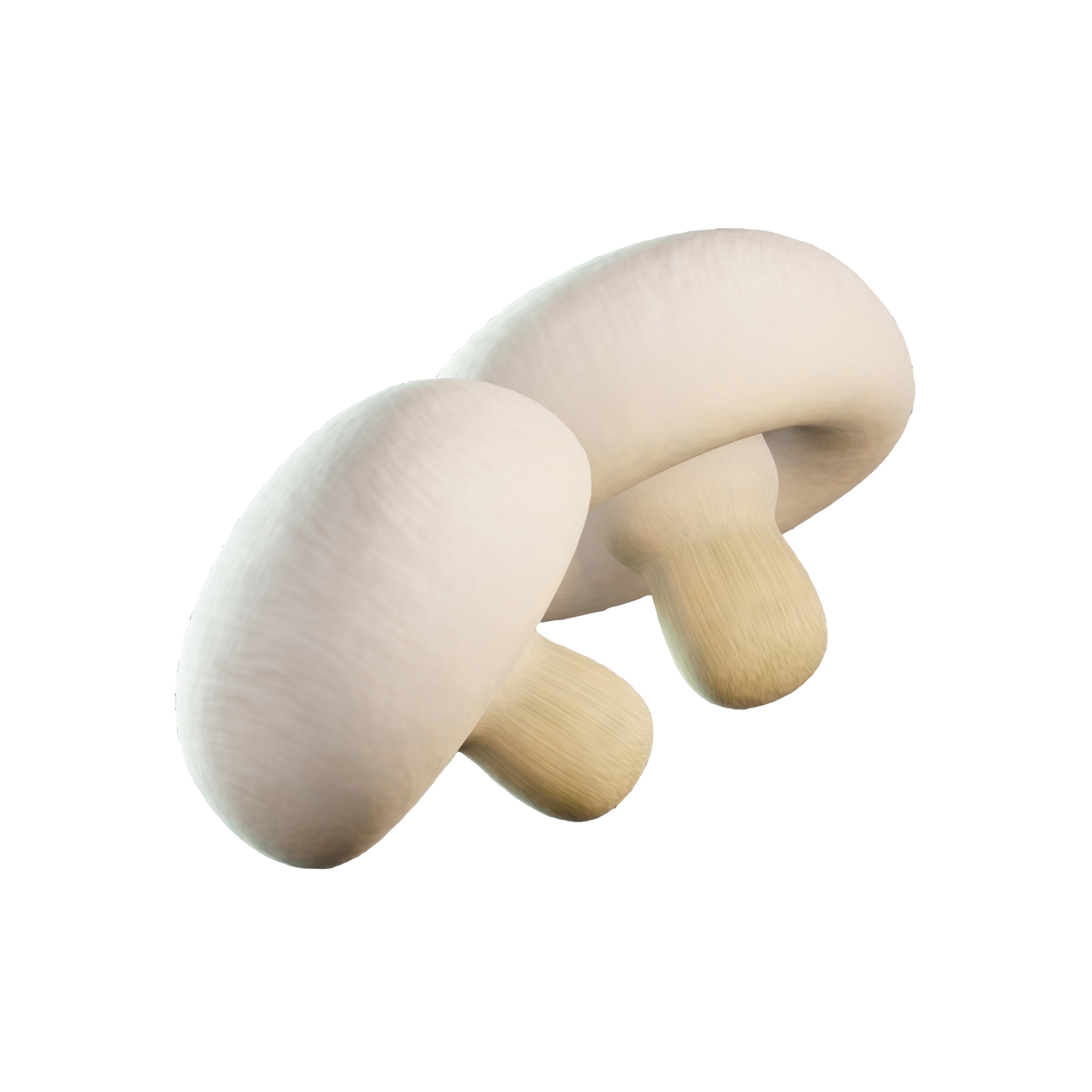 Button Mushroom, 200 g