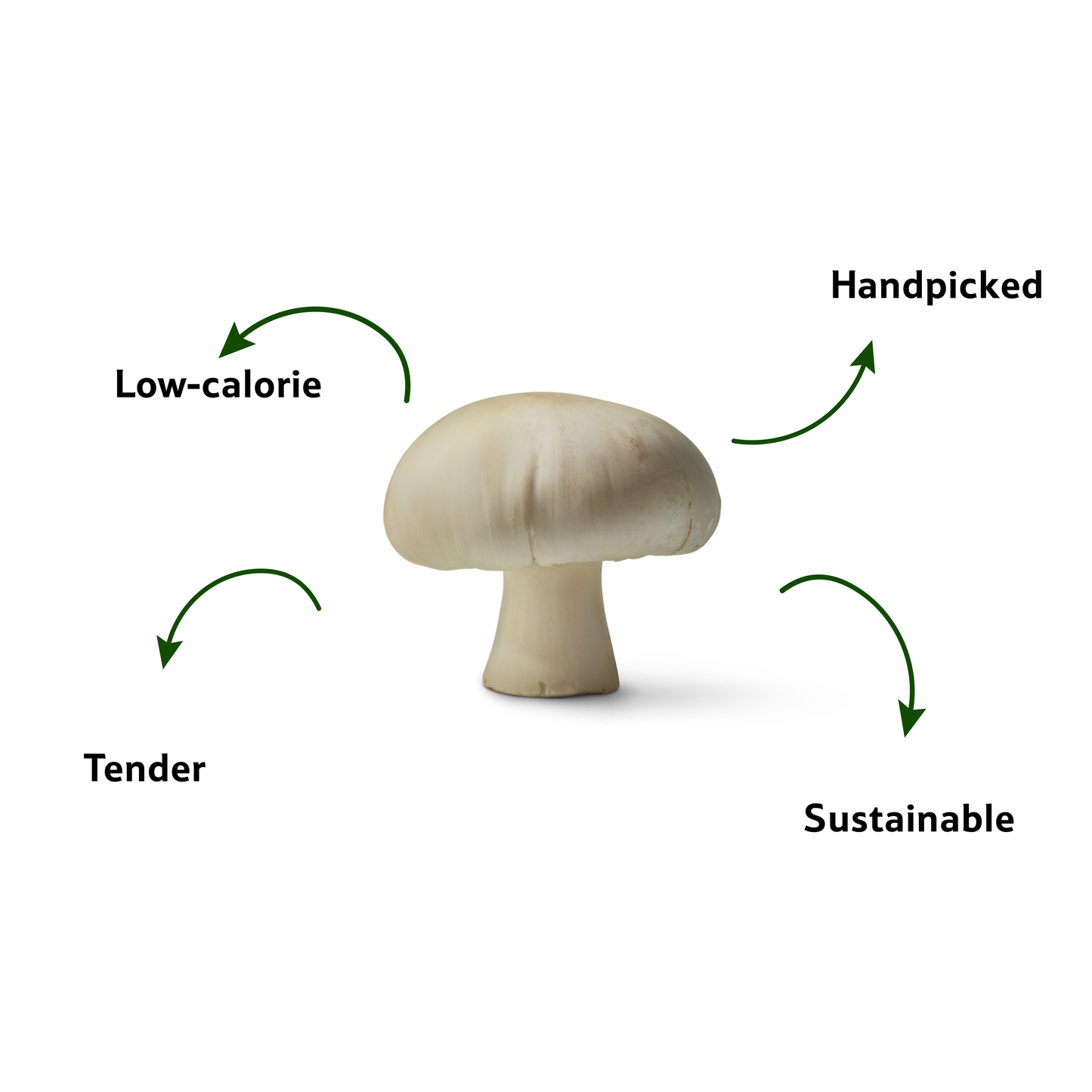 Button Mushroom, 200 g