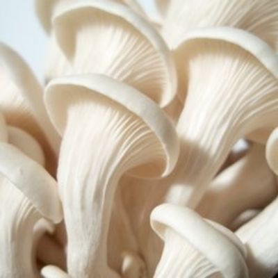 Oyster Mushroom Fresh, 200 g