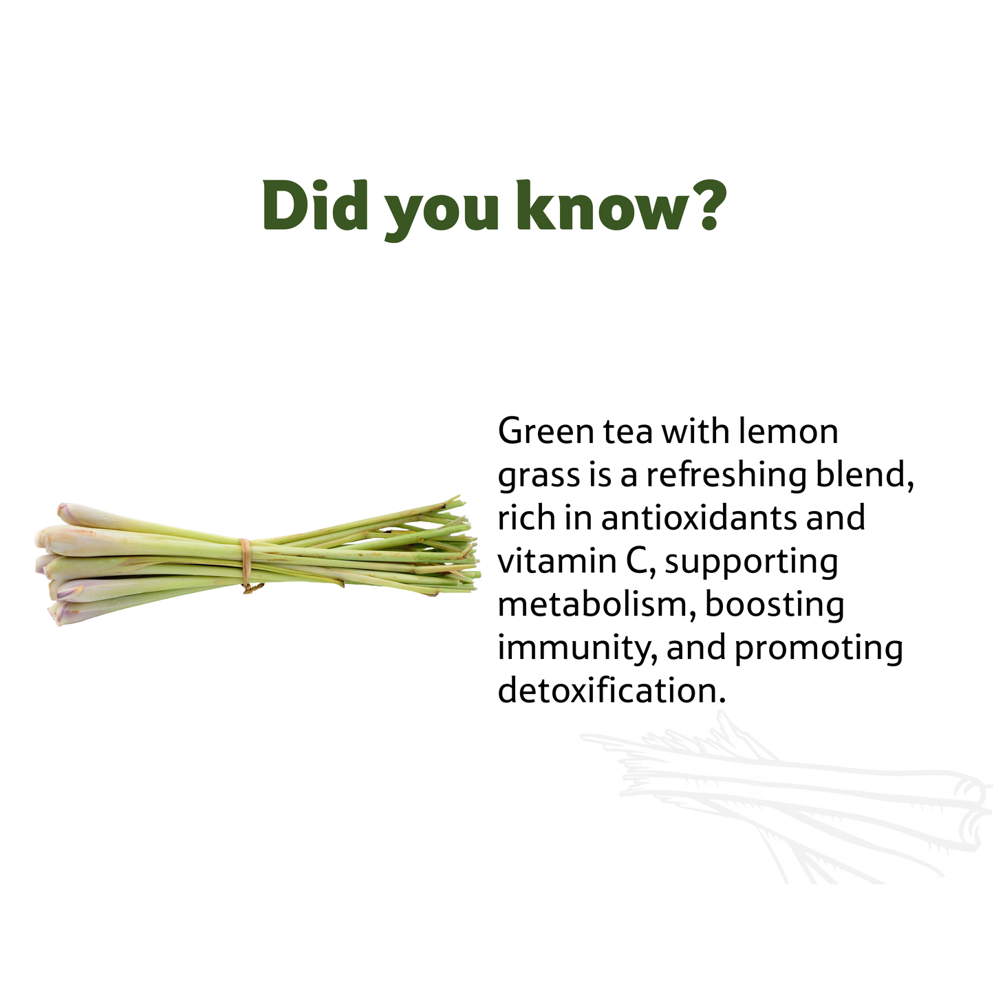 Starfresh Green Tea Lemon Grass 1 bunch