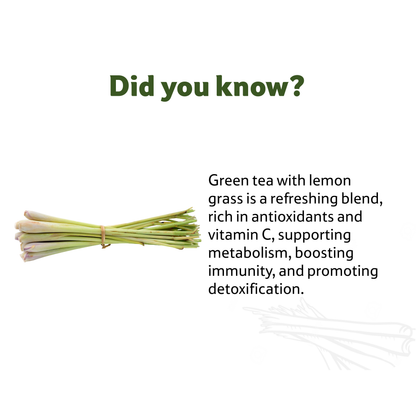 Green Tea Lemon Grass, 1 Bunch