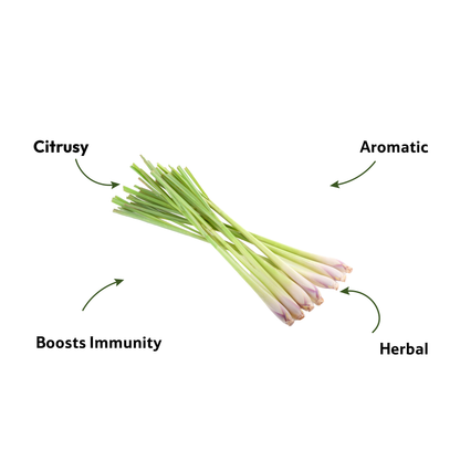 Green Tea Lemon Grass, 1 Bunch
