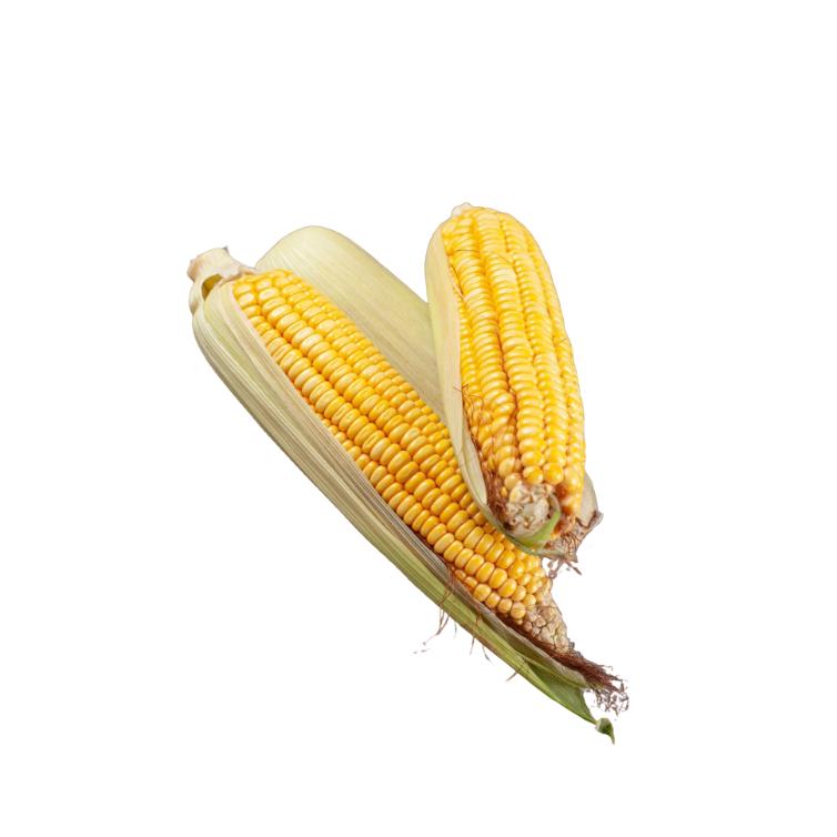 Starfresh Sweet Corn 1 pc