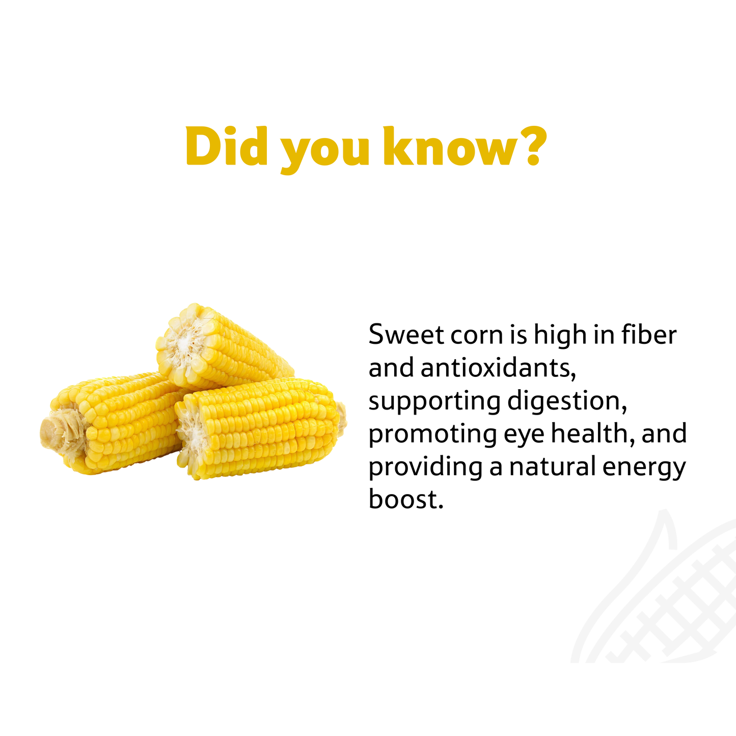 Sweet Corn, 1 Pc