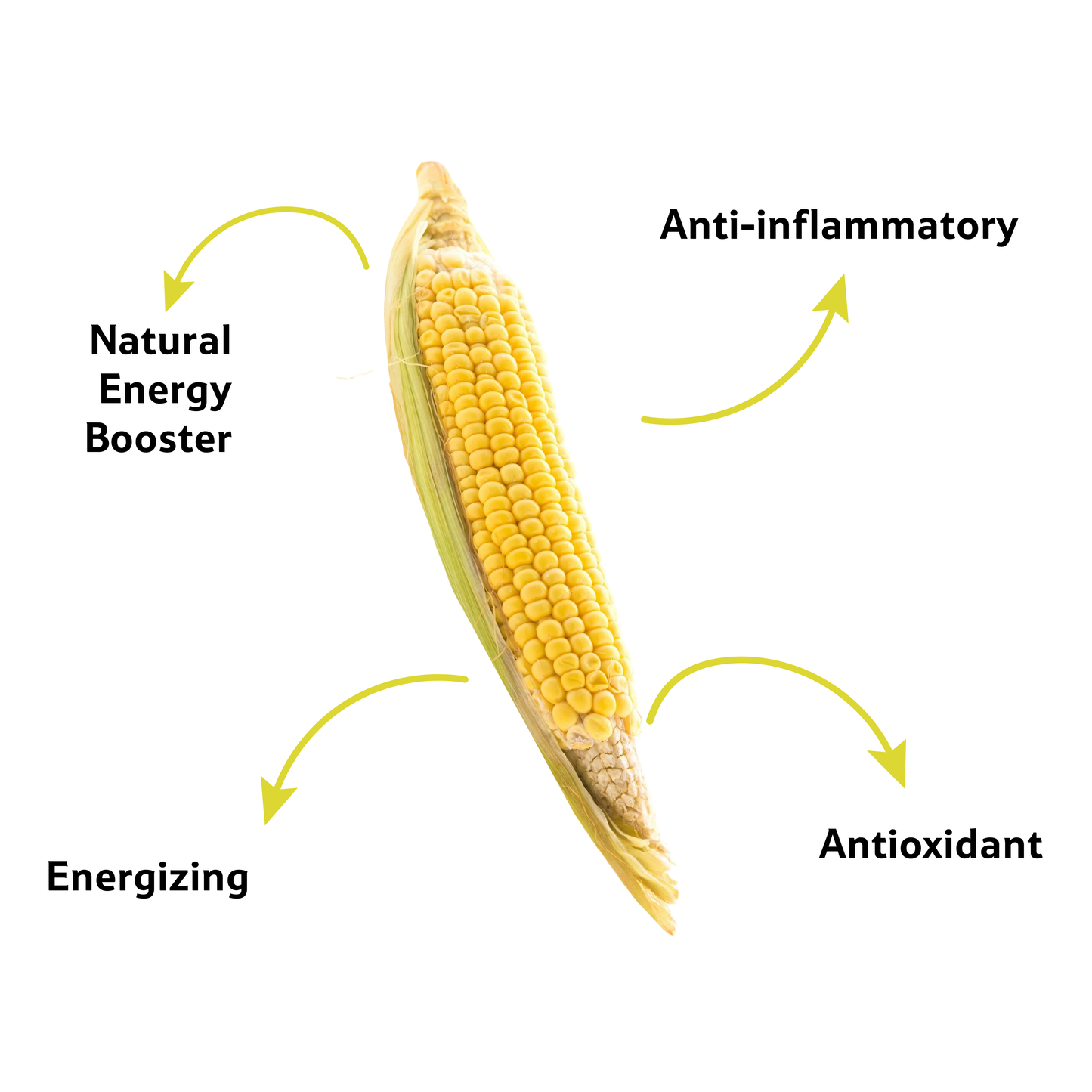 Sweet Corn, 1 Pc