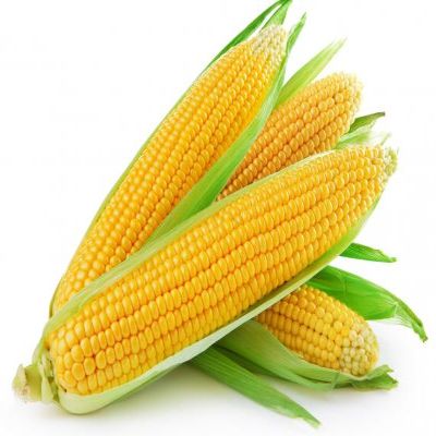 Starfresh Sweet Corn 1 Pc