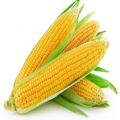 Starfresh Sweet Corn 1 pc