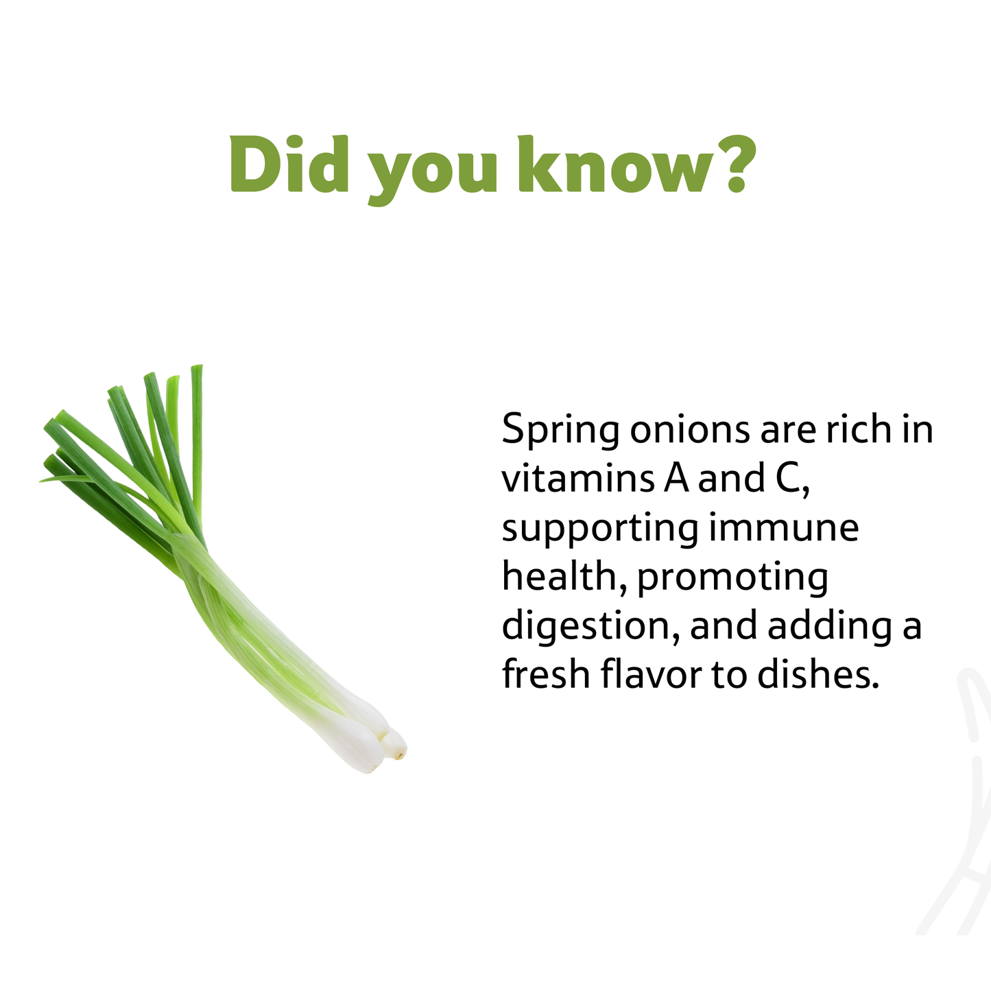 Starfresh Spring Onion prepack about 150 gm