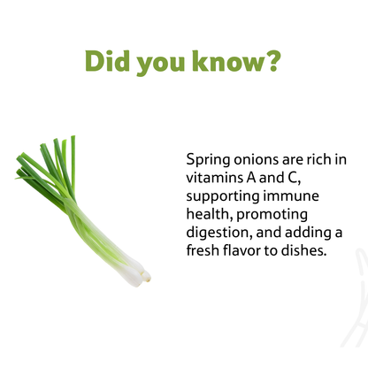 Starfresh Spring Onion prepack about 150 gm