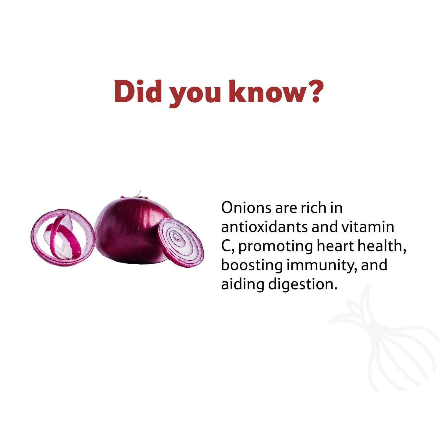 Onion, 2 Kg