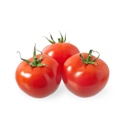 Tomato Hybrid, Pack of 10 Pcs