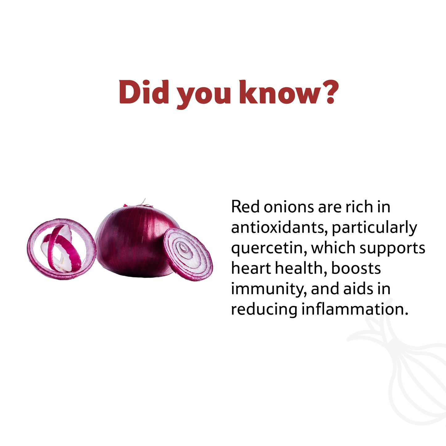 Starfresh Onion Red ~ 2 kg