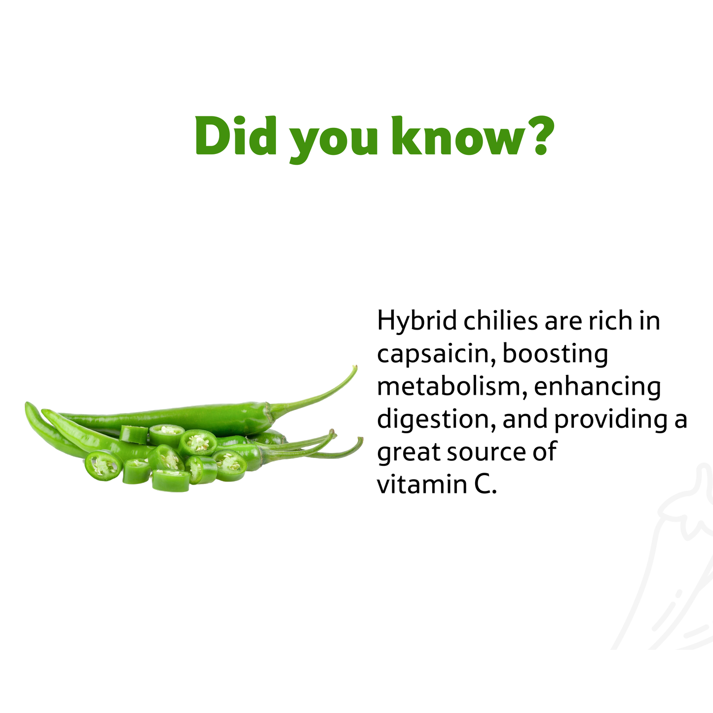 Starfresh Chilli Hybrid ~ 100 gm