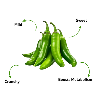 Starfresh Chilli Hybrid ~ 100 gm
