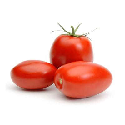 Starfresh Tomato Hybrid About 1 Kg