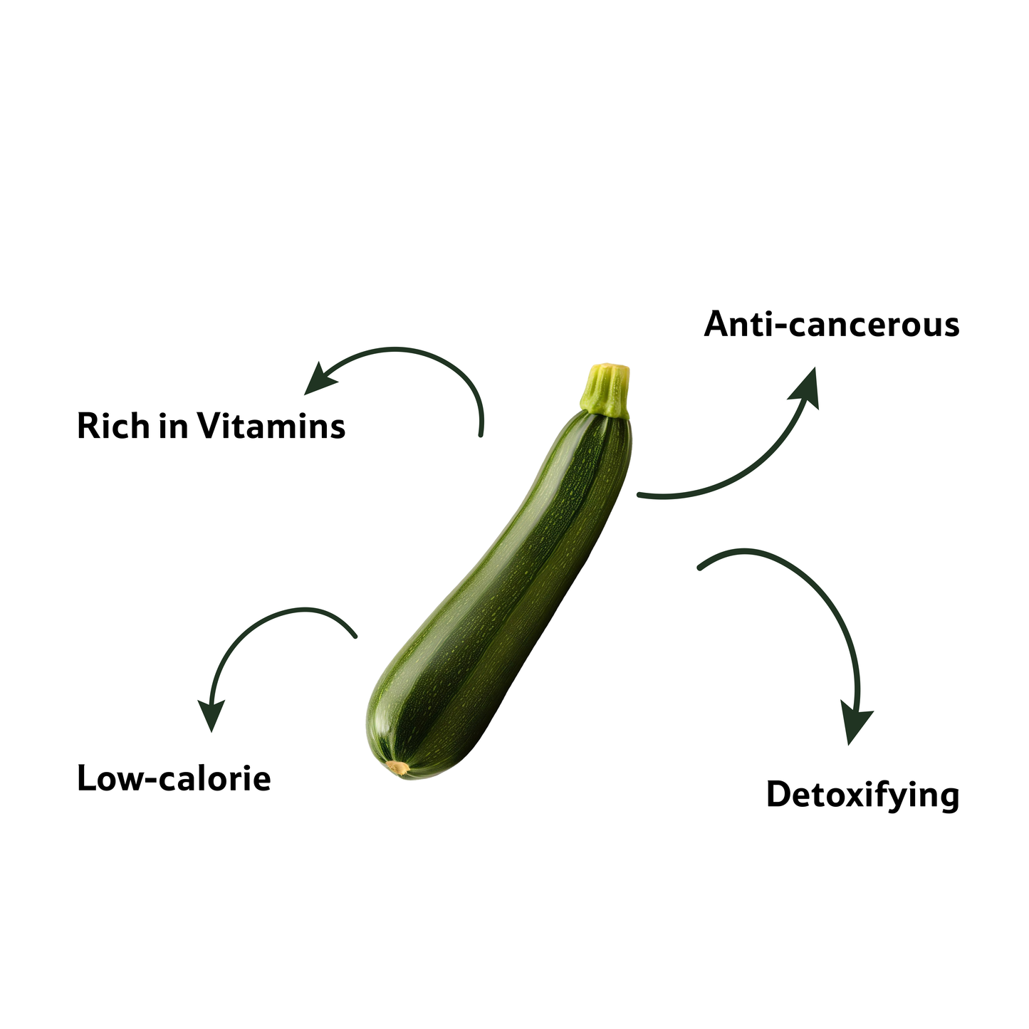 Starfresh Zucchini Green ~ 500 gm