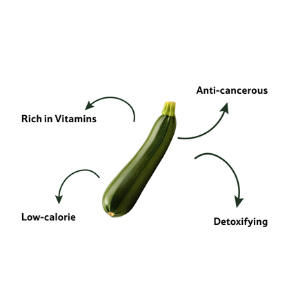 Starfresh Zucchini Green ~ 500 gm