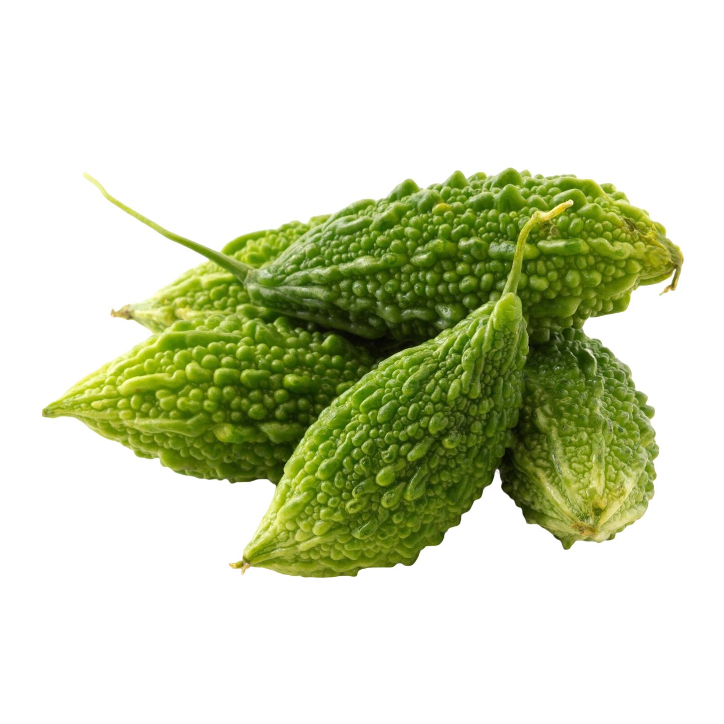 Bitter Gourd Karela Green, 500 g