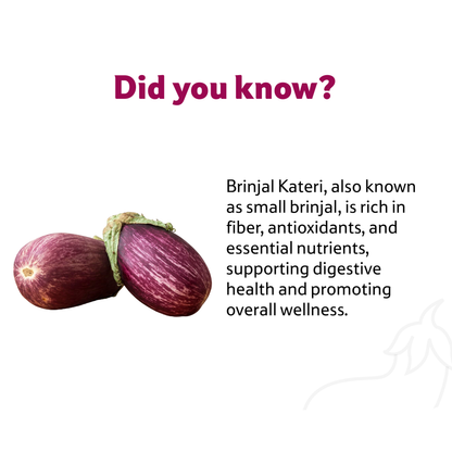 Brinjal Kateri, 500 g