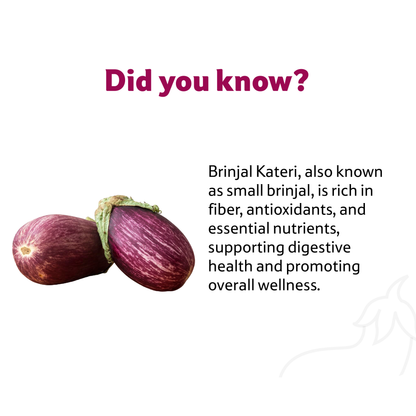 Starfresh Brinjal Kateri ~ 500 gm