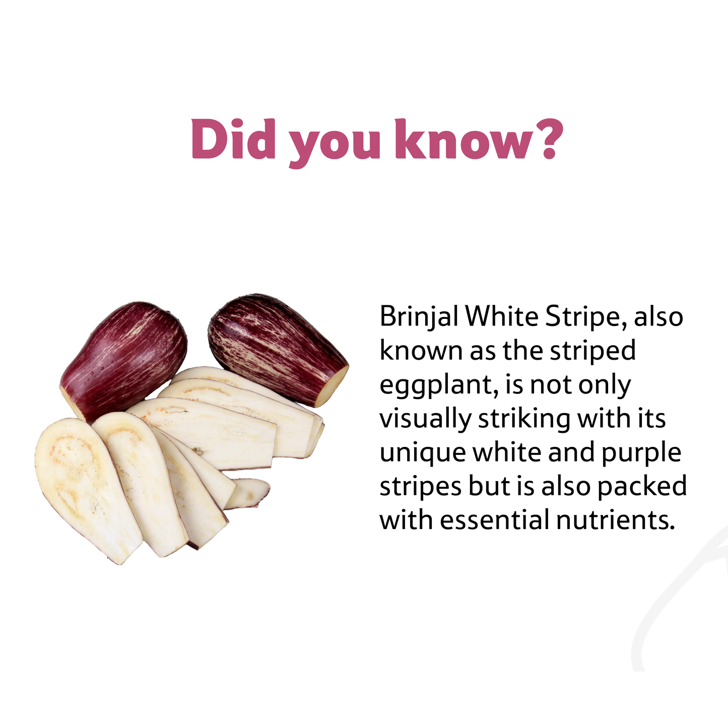 Brinjal White Stripe, 1 Kg