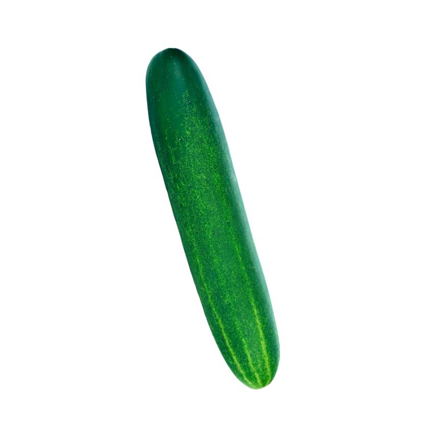 Starfresh Cucumber Green ~ 1 kg