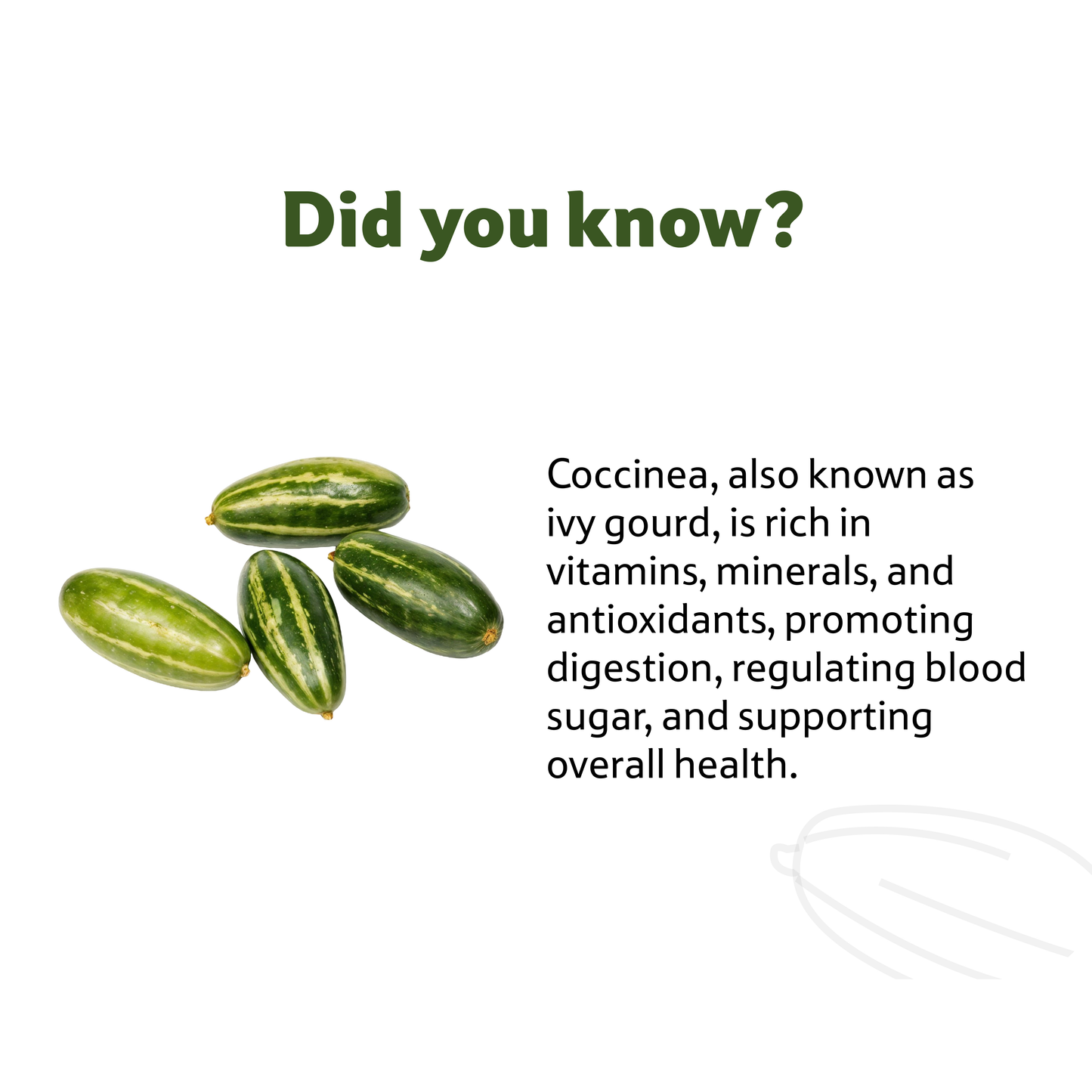 Starfresh Coccinea(Tendli) ~ 250 gm