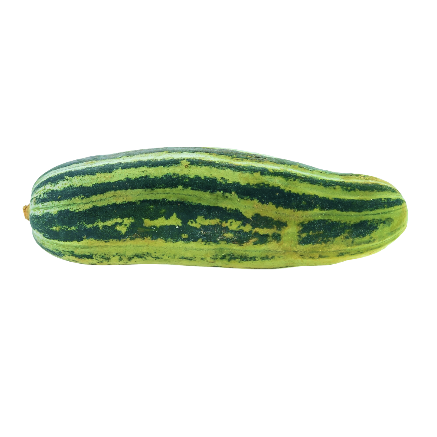 Starfresh Coccinea(Tendli) ~ 500 gm