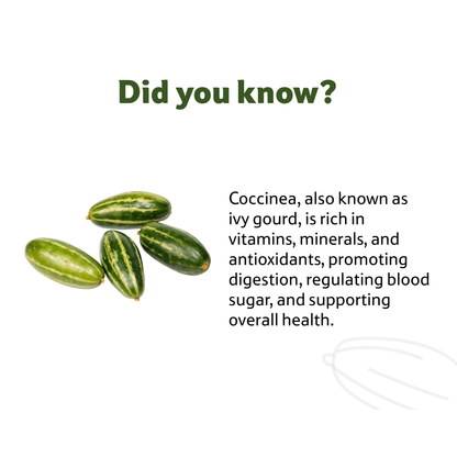 Starfresh Coccinea(Tendli) ~ 500 gm