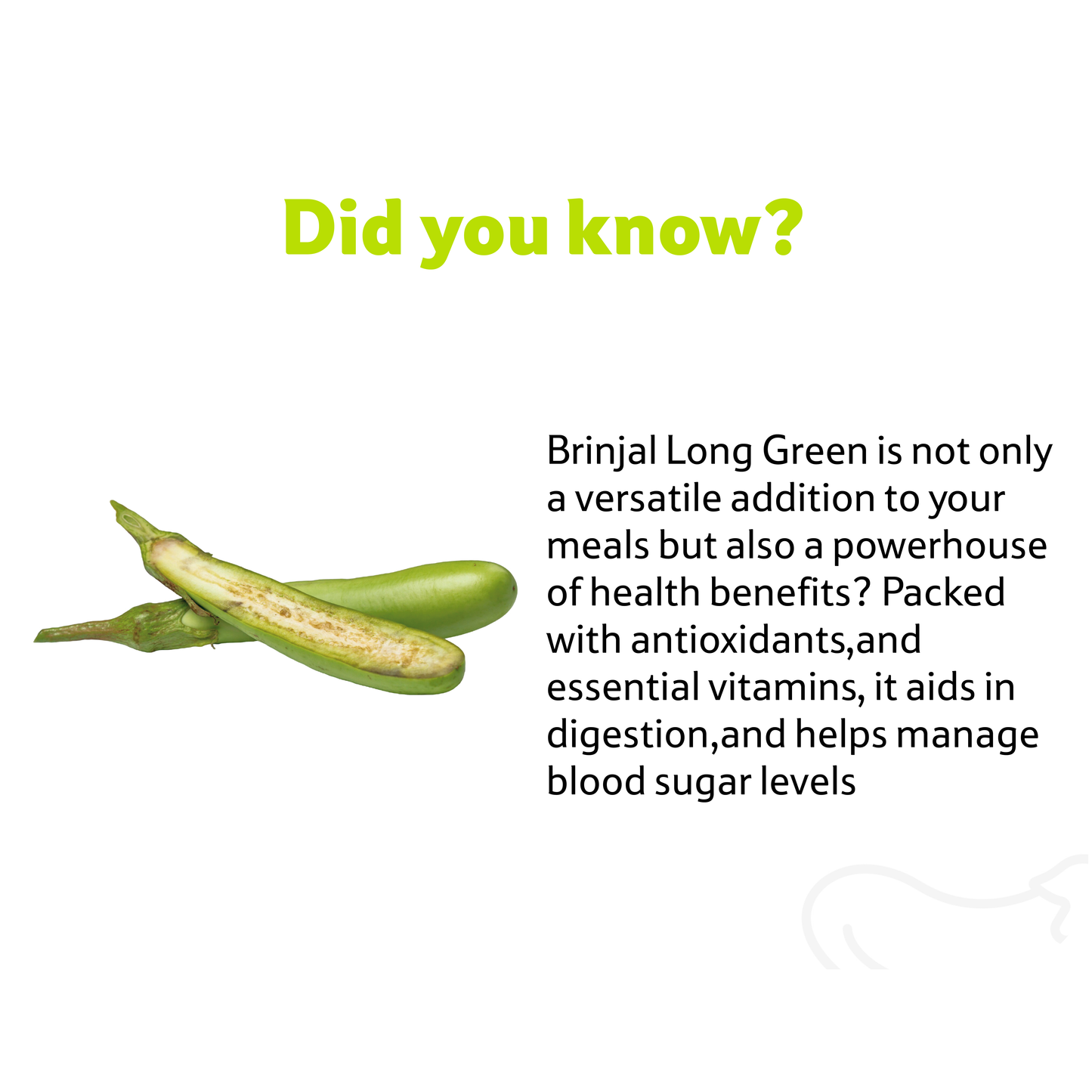 Starfresh Brinjal Long Green ~ 500 gm