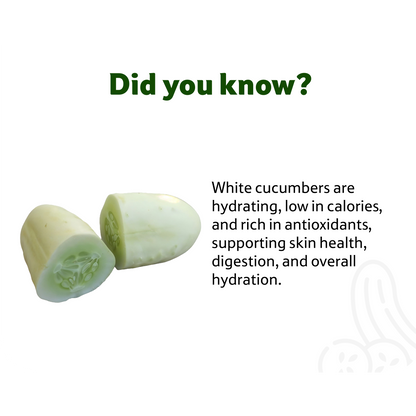 Starfresh Cucumber White Loose 1 kg