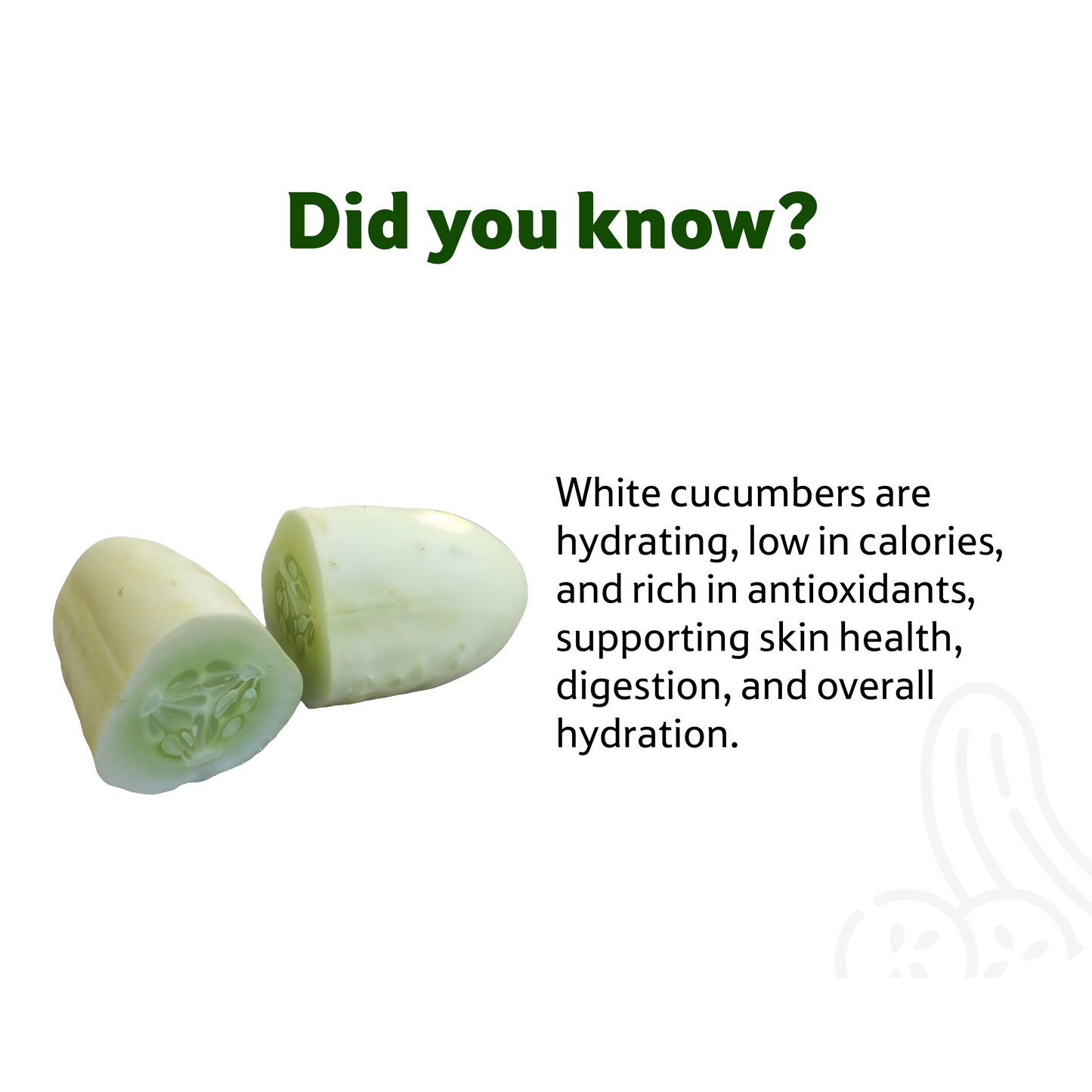 Starfresh Cucumber White ~ 500 g