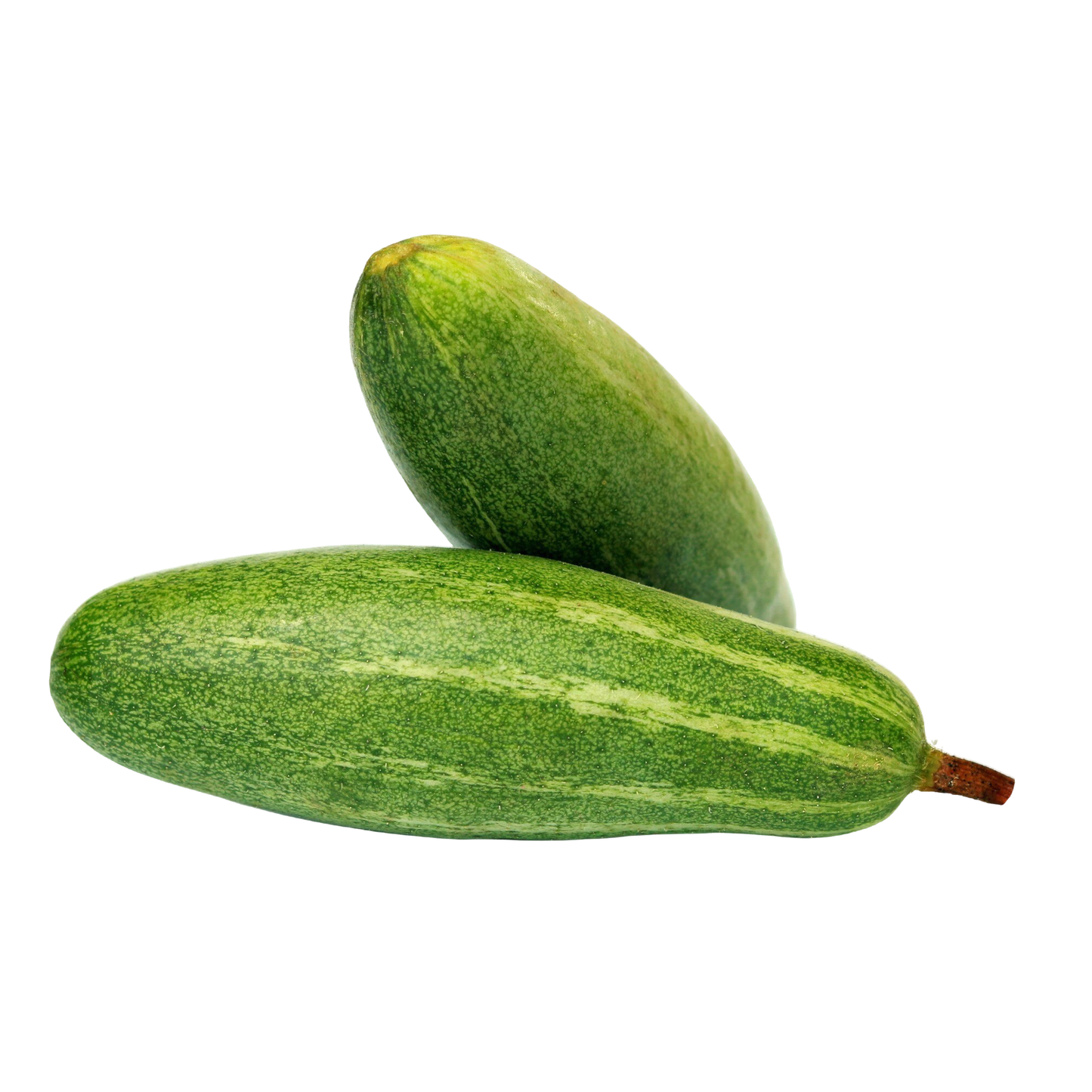Gourd Pointed Parval, 250 g