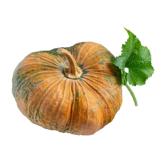 Starfresh Pumpkin Red ~ 250 gm