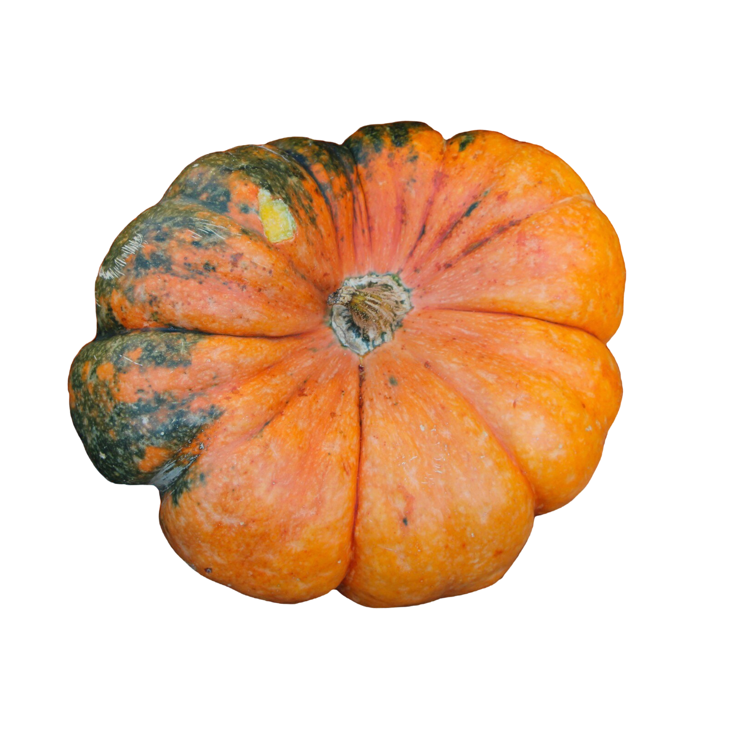 Pumpkin Red, 250 g