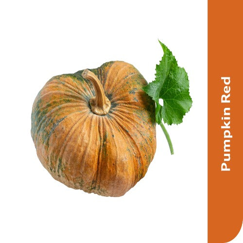 Starfresh Pumpkin Red About 250 Gm