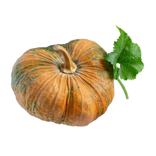 Starfresh Pumpkin Red ~ 500 g