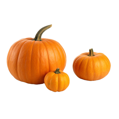 Starfresh Pumpkin Disco (Small) ~ about 500 g