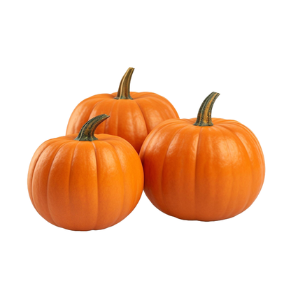 Starfresh Pumpkin Disco (Small) ~ 500 gm