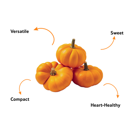 Starfresh Pumpkin Disco (Small) ~ 500 gm