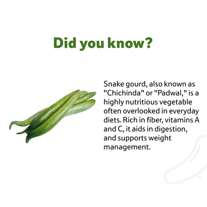 Starfresh Snake Gourd ~ 250 gm