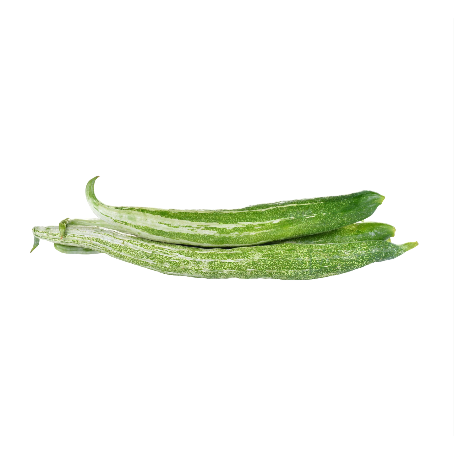 Starfresh Snake Gourd ~ 500 gm