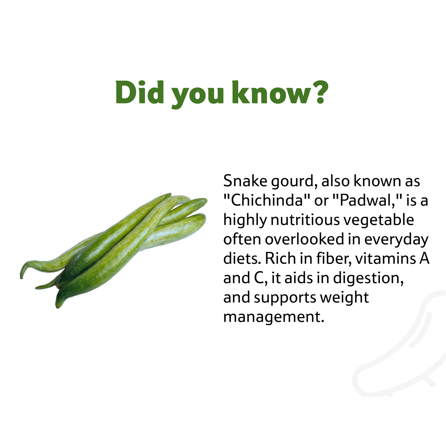 Starfresh Snake Gourd ~ about 500 g