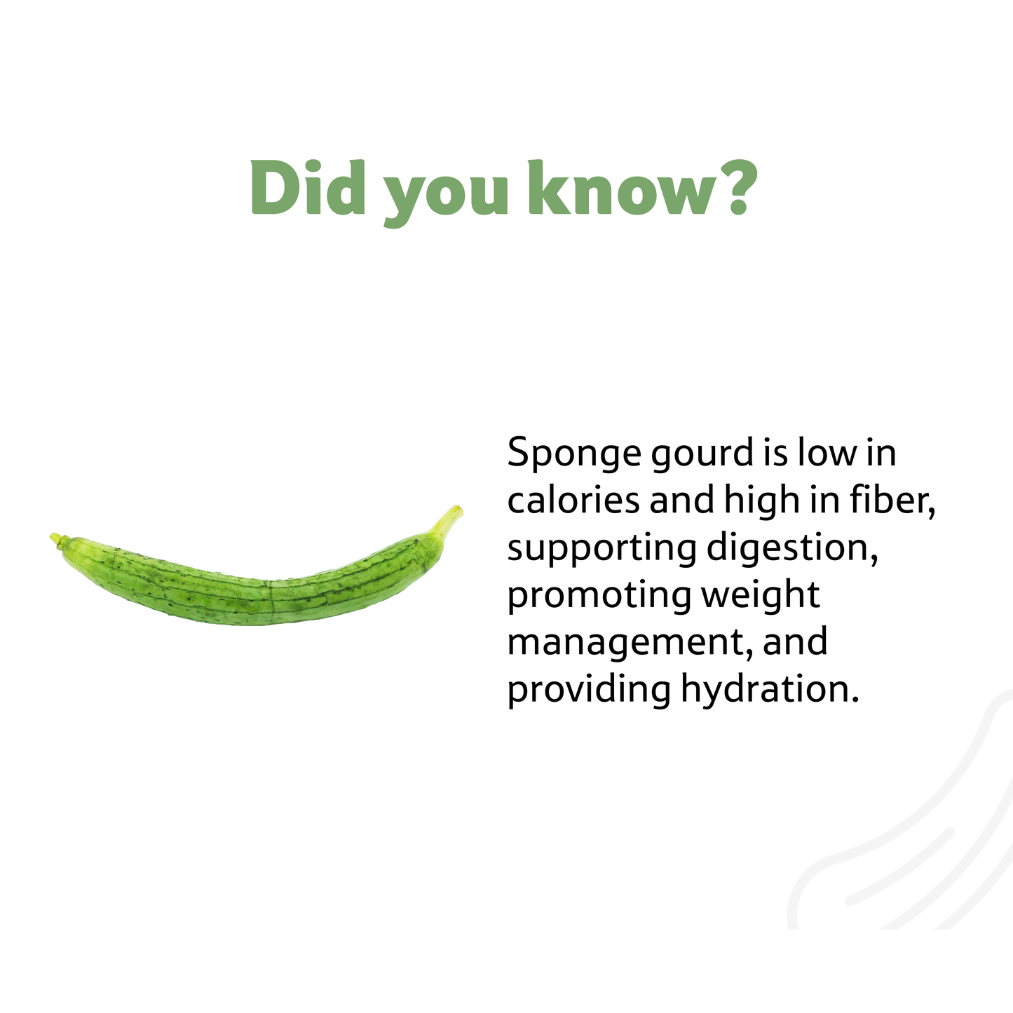 Starfresh Sponge Gourd ~ 1 Kg