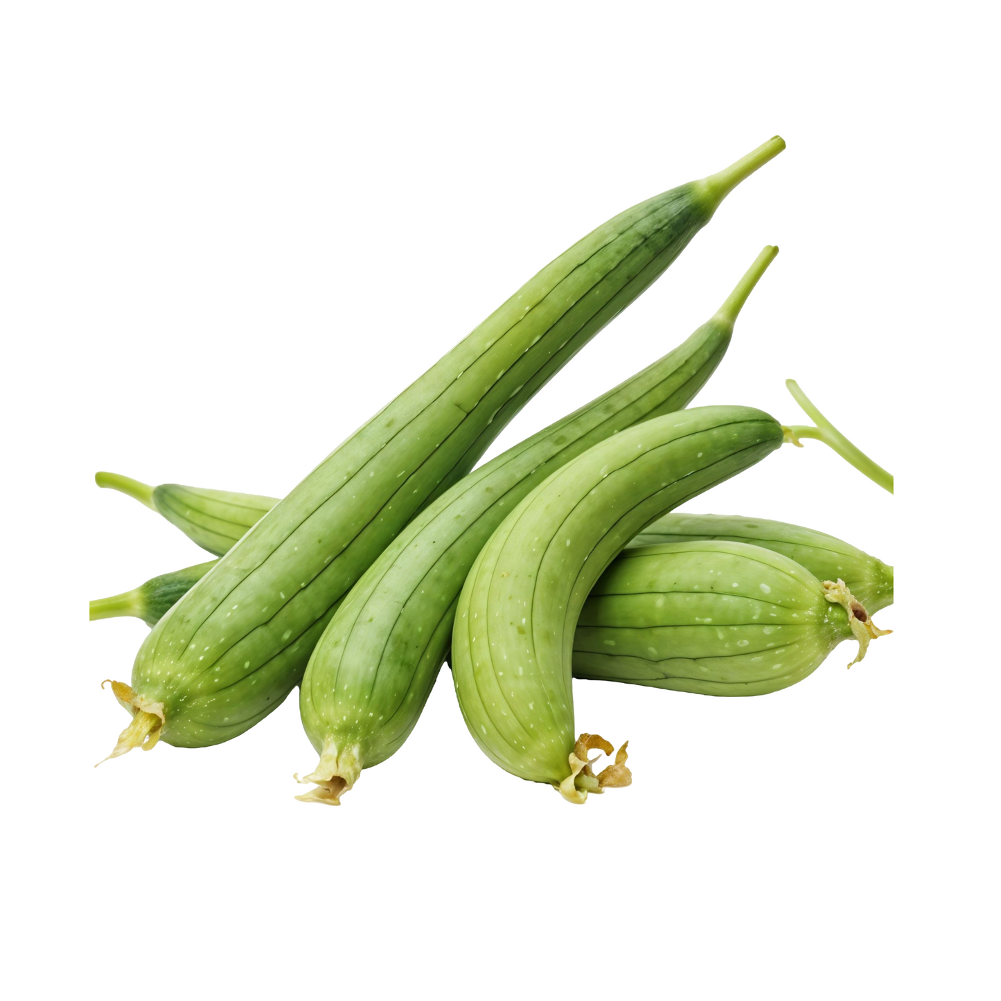 Sponge Gourd, 500 g